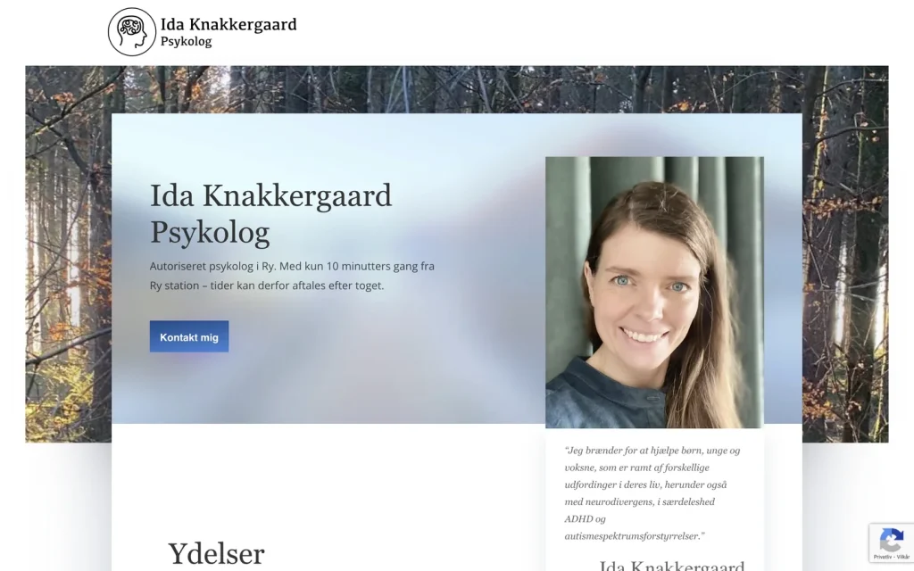 Vedligeholdelse af hjemmeside
