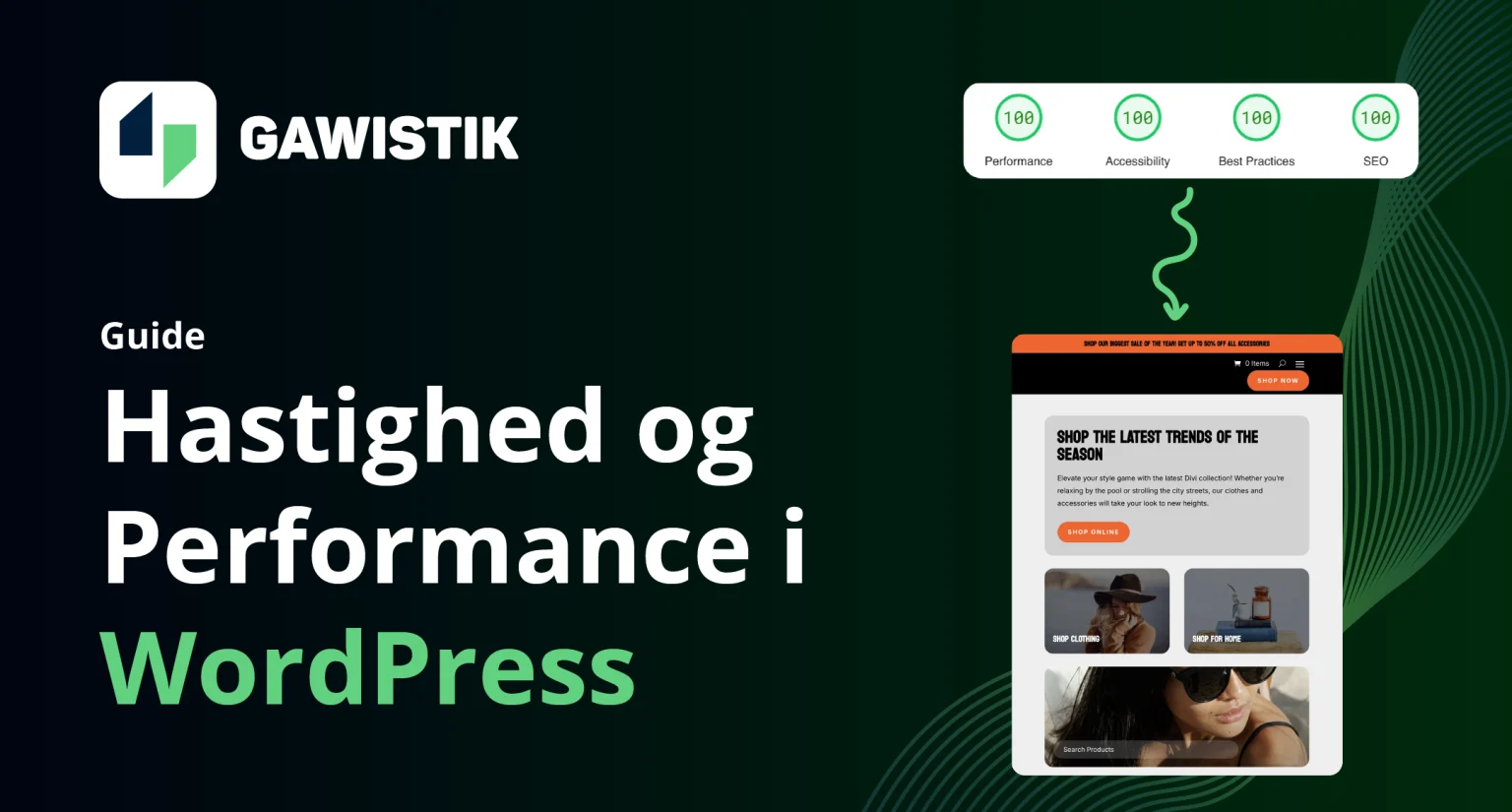 Hastighed og performance i Wordpress