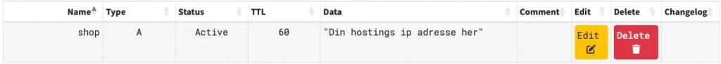 Sådan skal subdomæne felterne for dns indstillinger se ud 