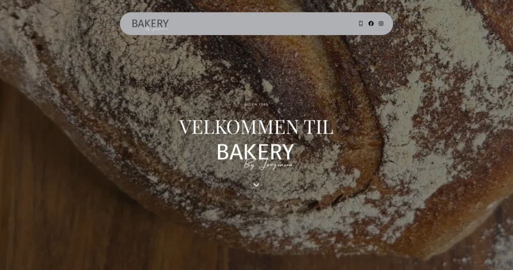 Vi giver dig hånden, ind til vores webbureau